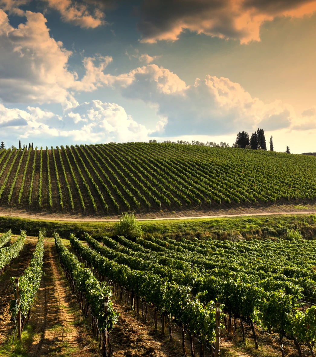 Musée rural des arts populaires de Laduz